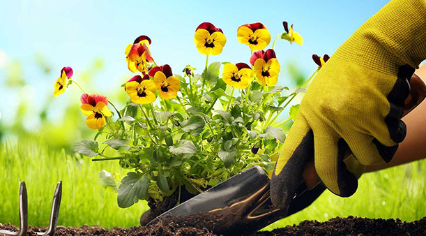 What are work gloves used for?